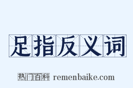 足指反义词是什么意思的图片